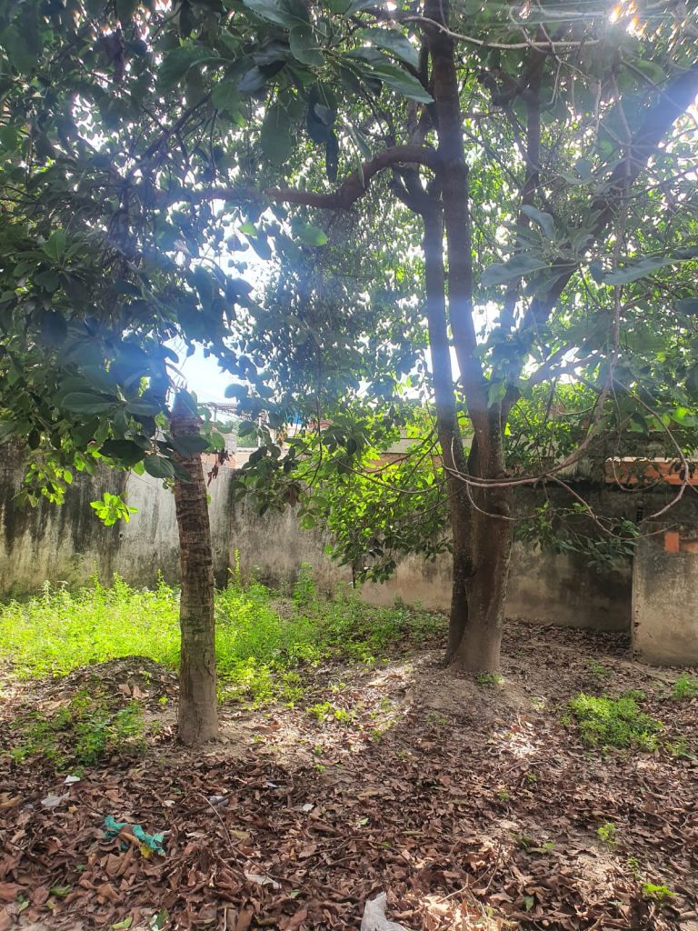 quintal