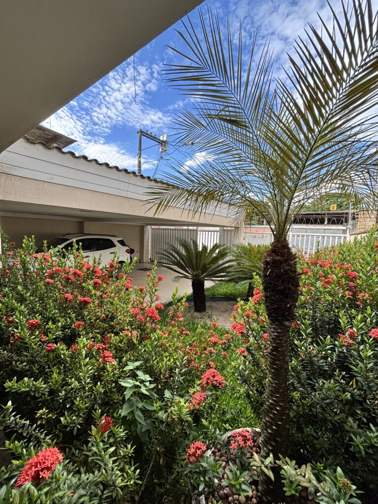 jardim garagem